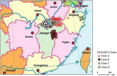 Genetic Diversity, Evolutionary Dynamics, and Pathogenicity of Ferret Badger Rabies Virus Variants in Mainland China, 2008–2018